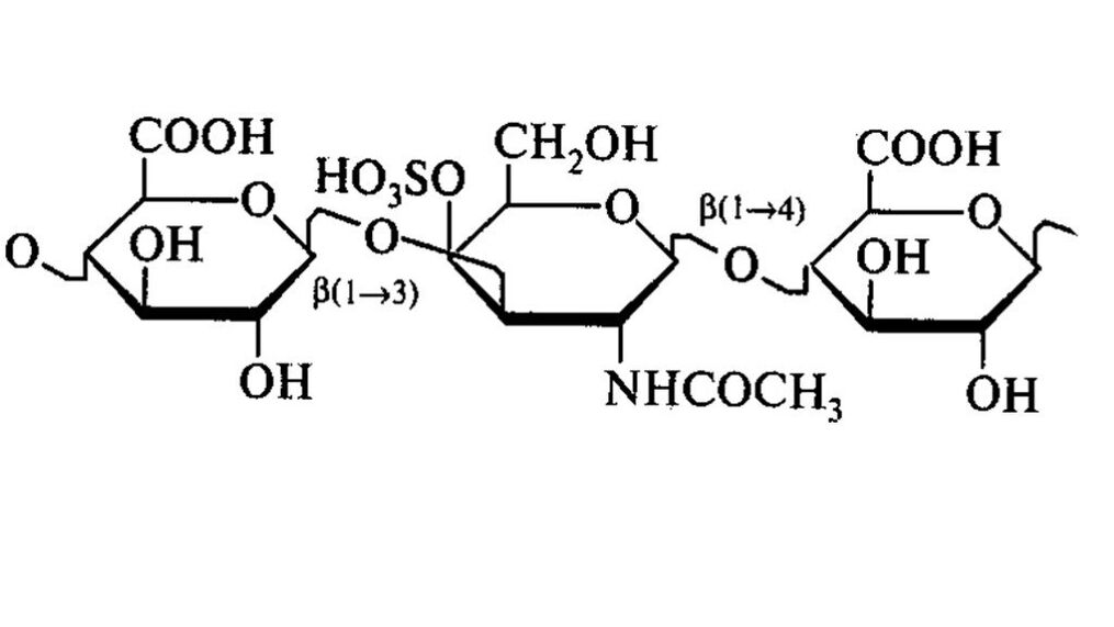 Քոնդրոյտինը Osteflex-ում